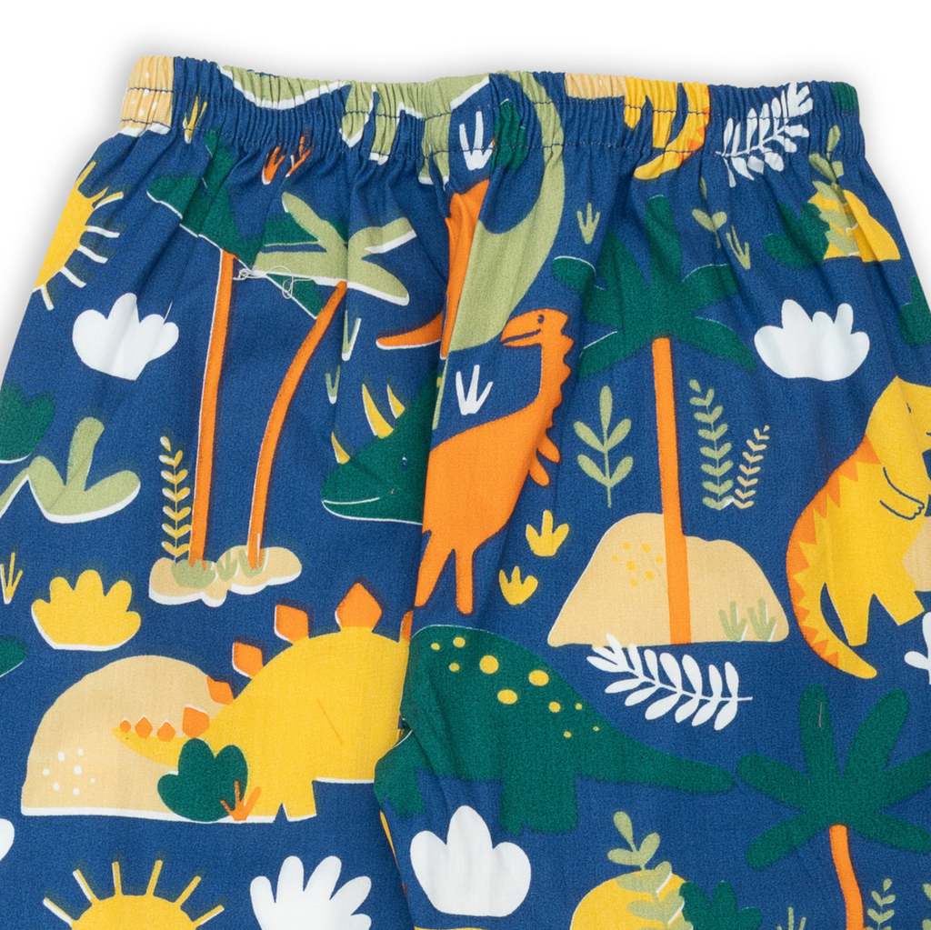 Blue Cotton Dinosaur Printed Nightsuit Set